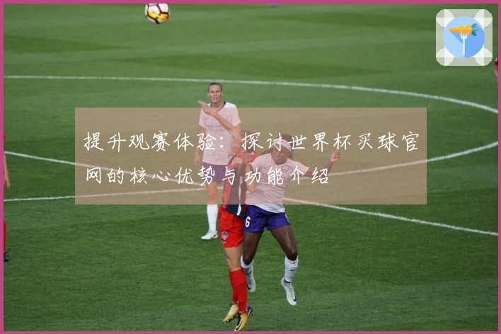 提升观赛体验：探讨世界杯买球官网的核心优势与功能介绍