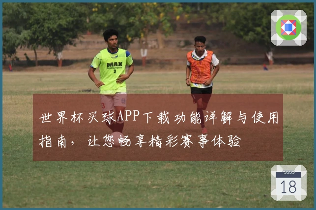 世界杯买球APP下载功能详解与使用指南，让您畅享精彩赛事体验