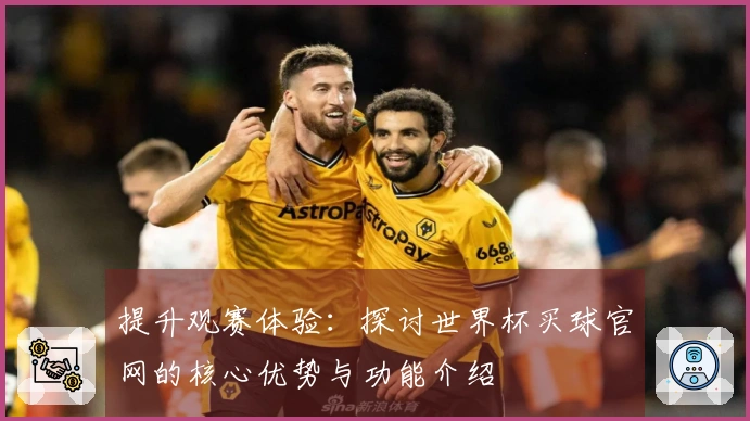 提升观赛体验：探讨世界杯买球官网的核心优势与功能介绍