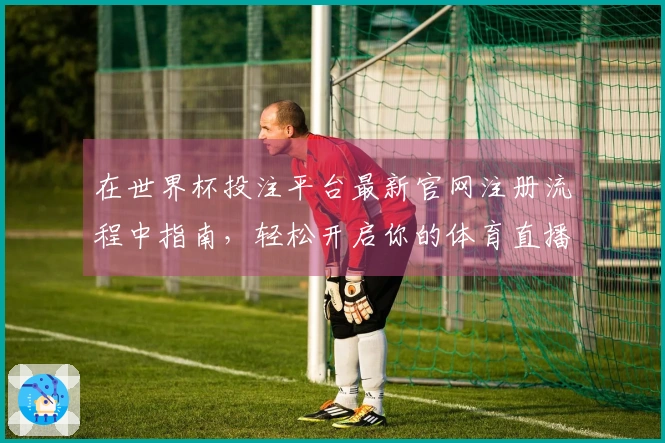在世界杯投注平台最新官网注册流程中指南，轻松开启你的体育直播之旅