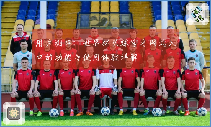 用户测评：世界杯买球官方网站入口的功能与使用体验详解