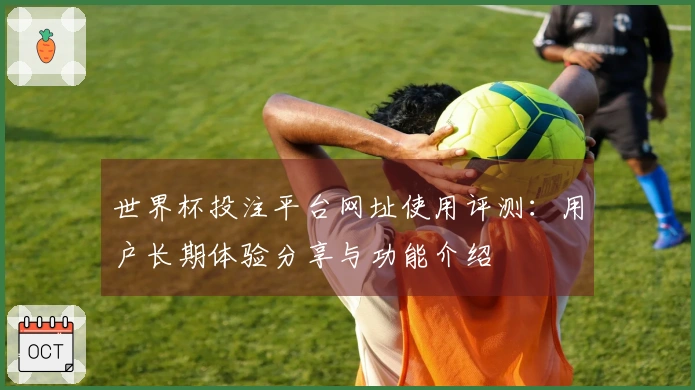 世界杯投注平台网址使用评测：用户长期体验分享与功能介绍