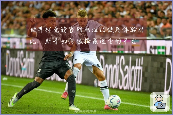 世界杯竞猜官网地址的使用体验对比：新手如何选择最适合的平台
