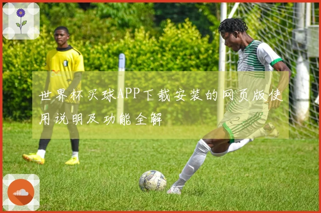 世界杯买球APP下载安装的网页版使用说明及功能全解