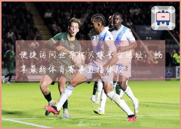 便捷访问世界杯买球平台地址，畅享最新体育赛事直播体验