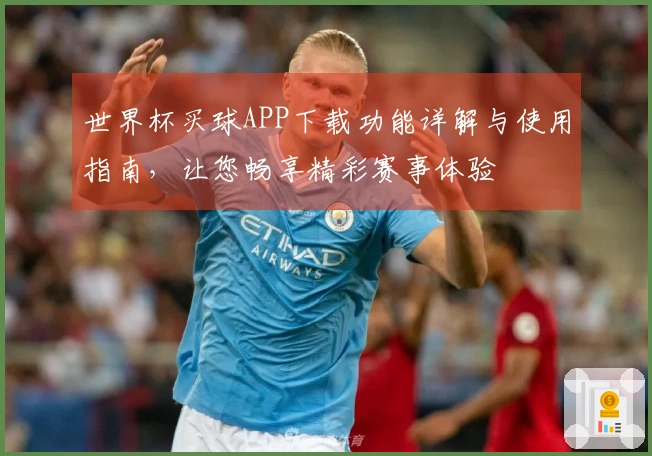 世界杯买球APP下载功能详解与使用指南，让您畅享精彩赛事体验